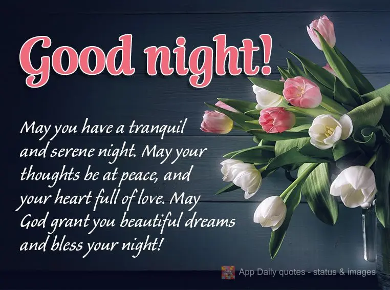 May you have a tranquil and serene night. May your thoughts be at peace, and your heart full of love. May God grant you beautiful dreams and bless your n...