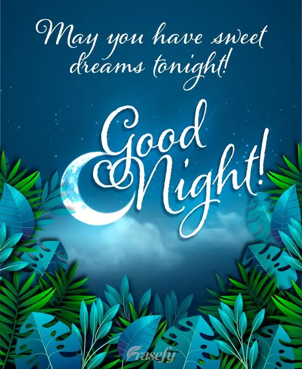 May you have sweet dreams tonight! Good Night!