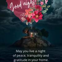May you live a night of peace, tranquility and gratitude in your home. May your prayers be answered and your dreams blessed! Good night!