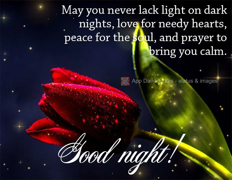 May you never lack light on dark nights, love for needy hearts, peace for the soul, and prayers to calm you. Good night!