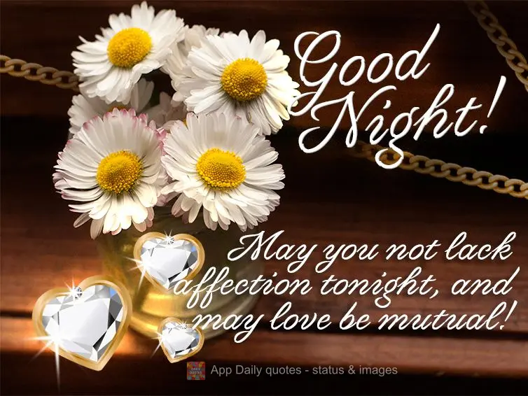 May you not lack affection tonight, and may love be mutual! Good Night!