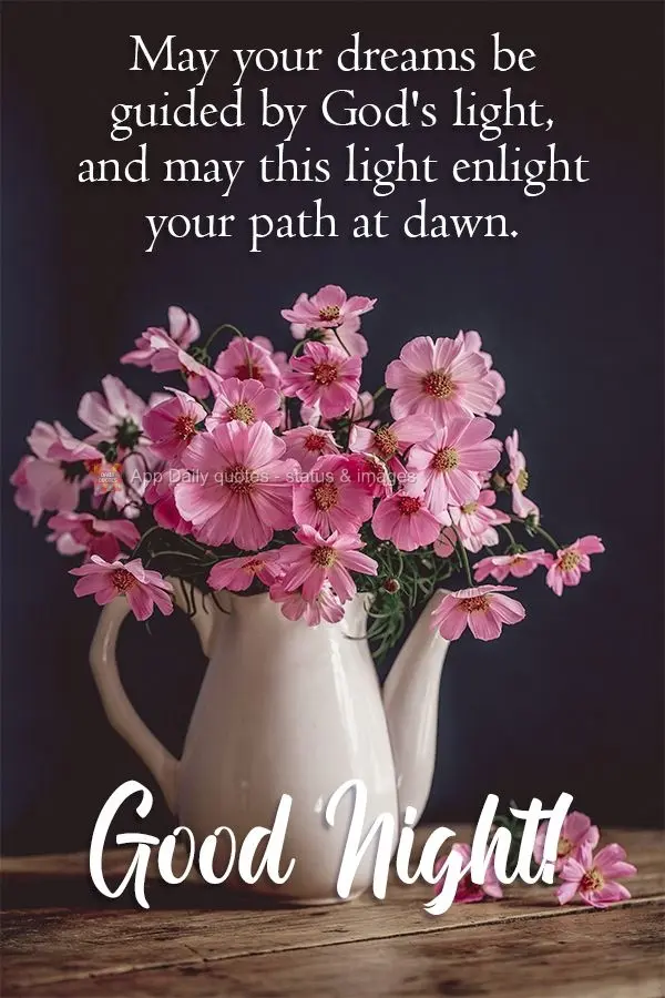 May your dreams be guided by God's light, and may this light enlighten your path at dawn. Good night! Good Night!