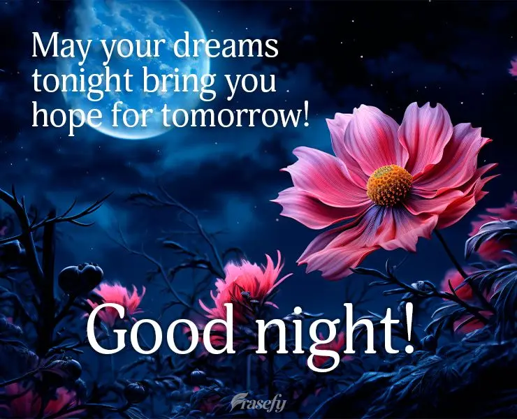 May your dreams tonight bring you hope for tomorrow! Good night!