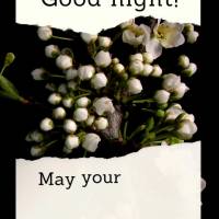 May your night be blessed, and may you have sweet dreams! Good night!