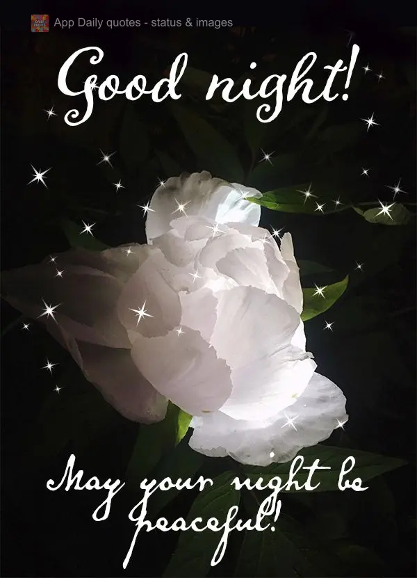 May your night be peaceful! Good night!