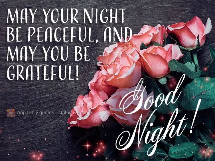 May your night be peaceful, and may you be grateful! Good night!