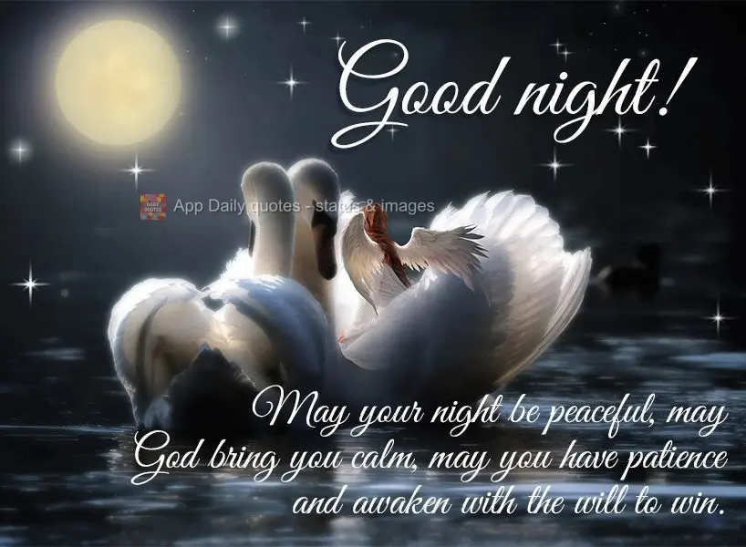 May your night be peaceful, may God bring you calm, may you have patience and awaken with the will to achieve. Good night!