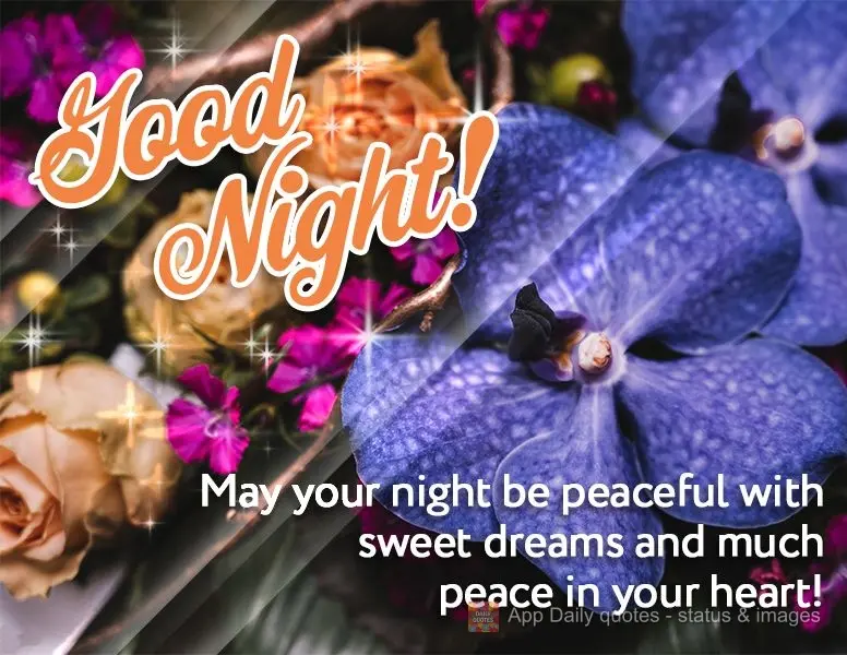 May your night be peaceful with sweet dreams and much peace in your heart! Good night!