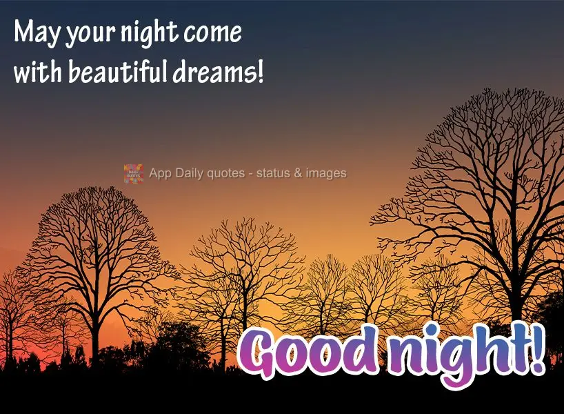 May your night bring you beautiful dreams! Good night!