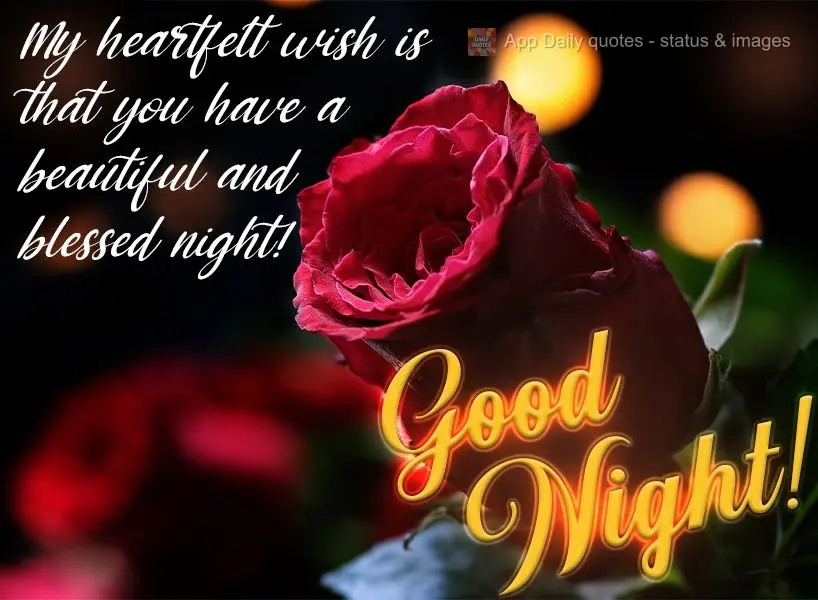 My heartfelt wish is that you have a beautiful and blessed night! Good night!