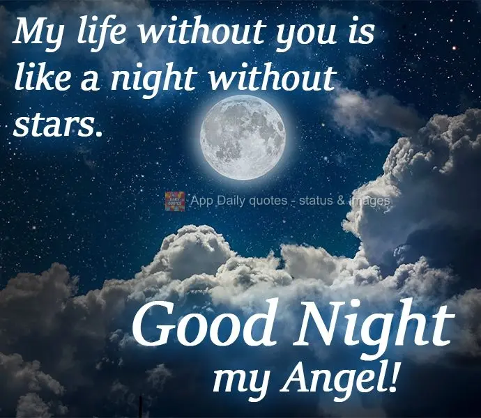 My life without you is like a night without stars. Good Night my Angel!