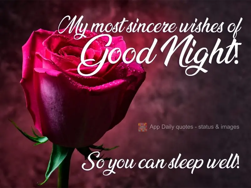 My most sincere wishes for a Good Night! So you can sleep well!