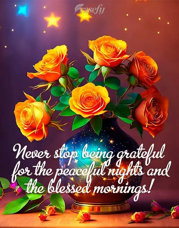 Never stop being grateful for the peaceful nights and the blessed mornings!