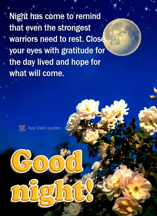 Night has come to remind that even the strongest warriors need to rest. Close your eyes with gratitude for the day lived and hope for what will come. Goo...