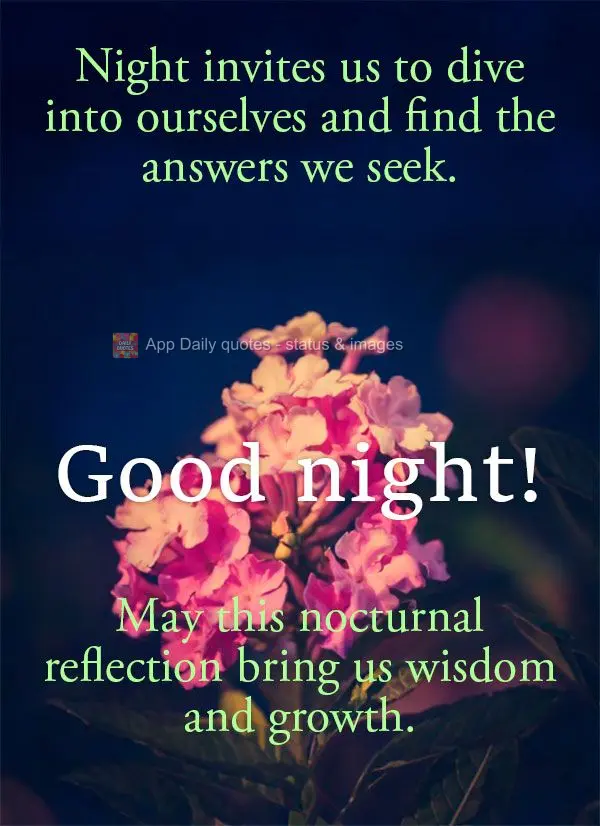 Night invites us to dive into ourselves and find the answers we seek. May this nocturnal reflection bring us wisdom and growth. Good night!