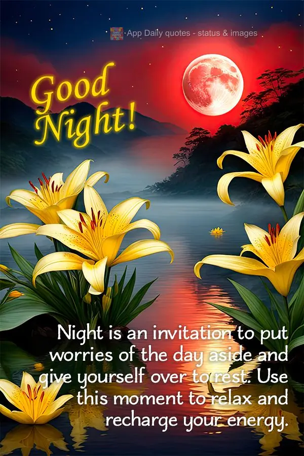 Night is an invitation to put worries of the day aside and give yourself over to rest. Use this moment to relax and recharge your energy. Good night!