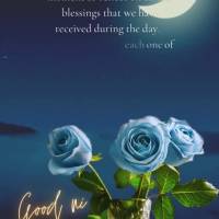 Night is the perfect moment to reflect on all the blessings that we have received during the day. Give thanks for each one of them and sleep peacefully, ...