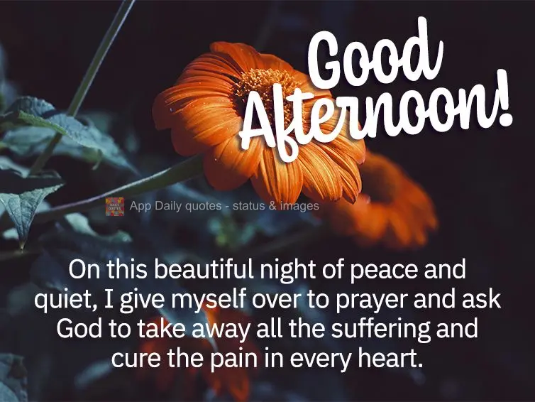 On this beautiful night of peace and quiet, I give myself over to prayer and ask God to take away all the suffering and cure the pain in every heart. Goo...