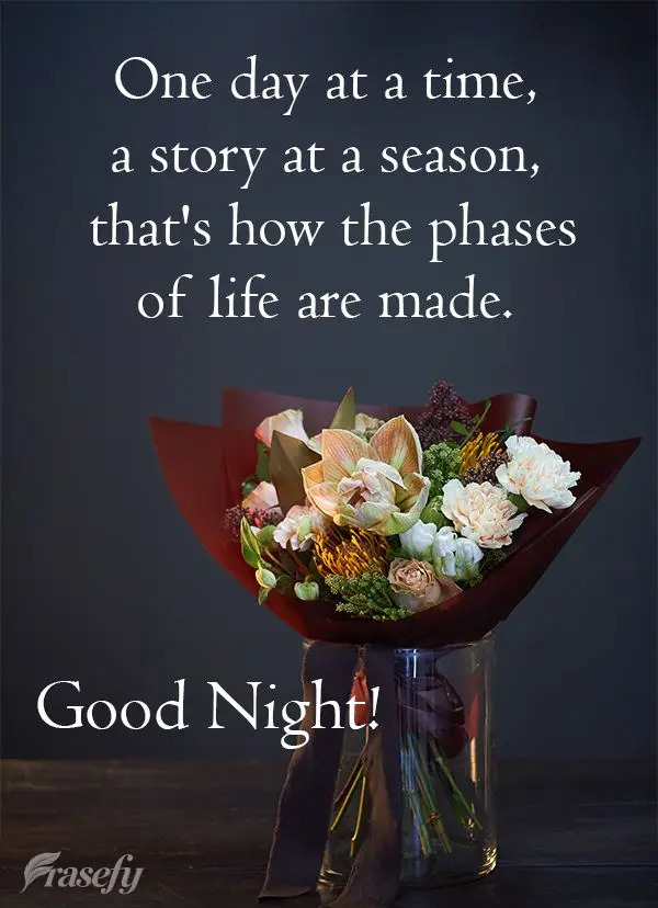 One day at a time, a story for every season, that's how the phases of life are created. Good Night!