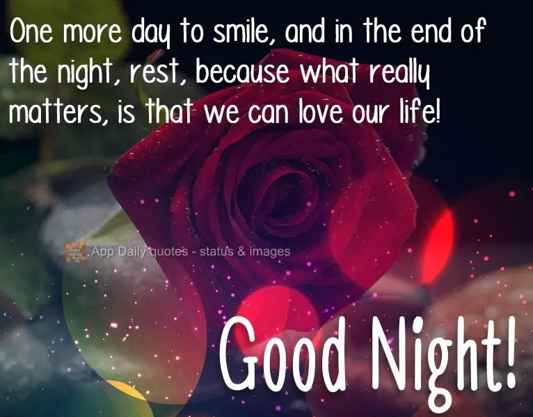 One more day to smile, and at the end of the night, rest. Because what really matters is that we can love our life!  Good Night!