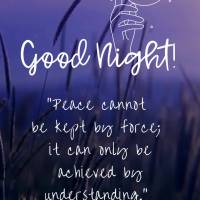 "Peace cannot be kept by force; it can only be achieved by understanding." Good night!  Albert Einstein