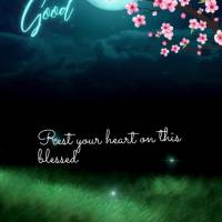 Rest your heart on this blessed night so that you can wake up renewed and motivated to fight for your dreams! Good night!