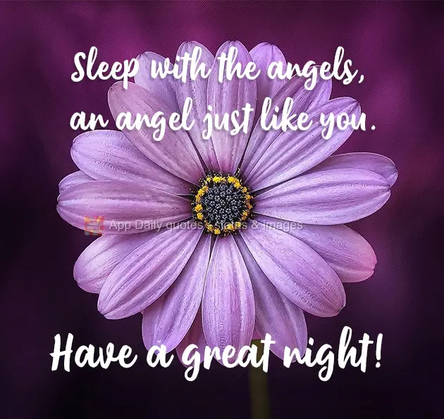 Sleep with the angels, an angel just like you. Have a great night!