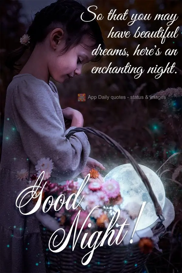 So that you may have beautiful dreams, here's an enchanting night. Goodnight! 