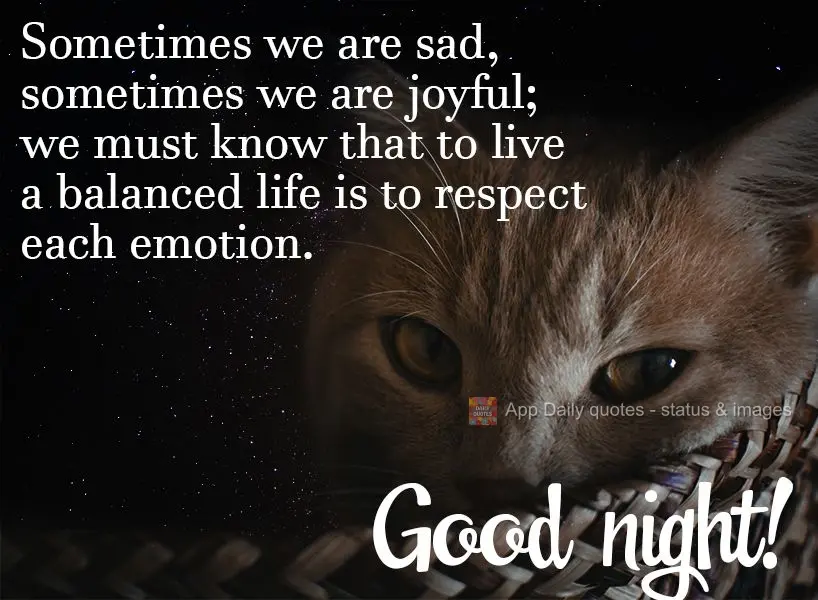 Sometimes we are sad, sometimes we are joyful; we must know that to live a balanced life is to respect each emotion. Good night!