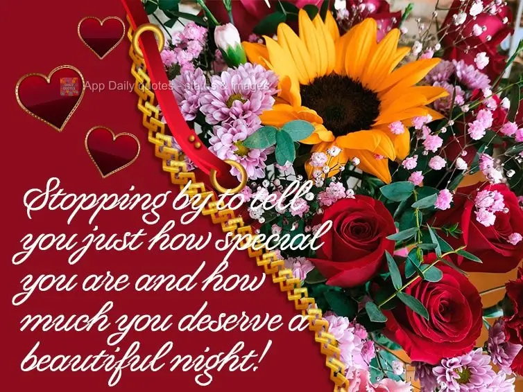 Stopping by to tell you just how special you are and how much you deserve a beautiful night!