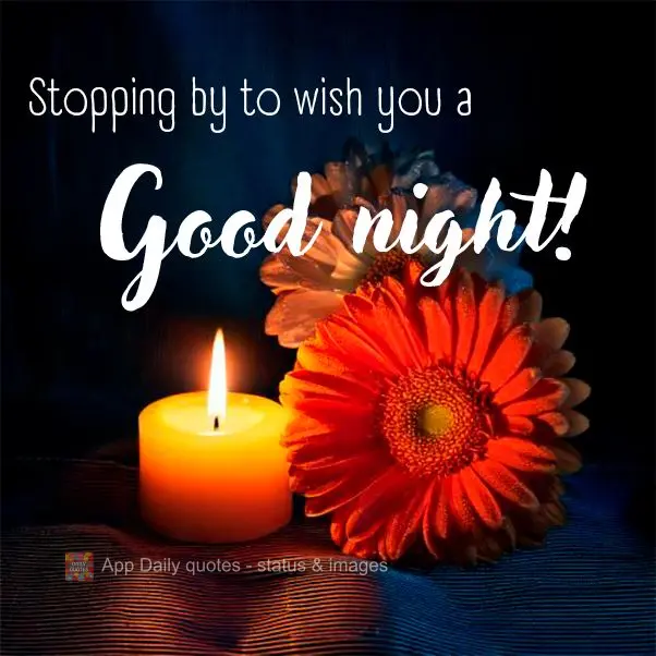 Stopping by to wish you a Good night!