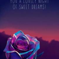 Stopping by to wish you a lovely night of sweet dreams! Good night!
