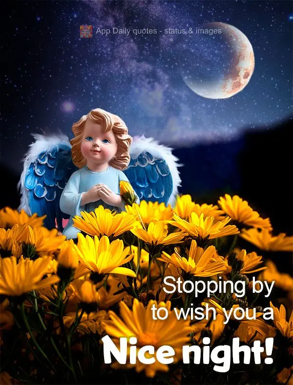 Stopping by to wish you a Nice night!