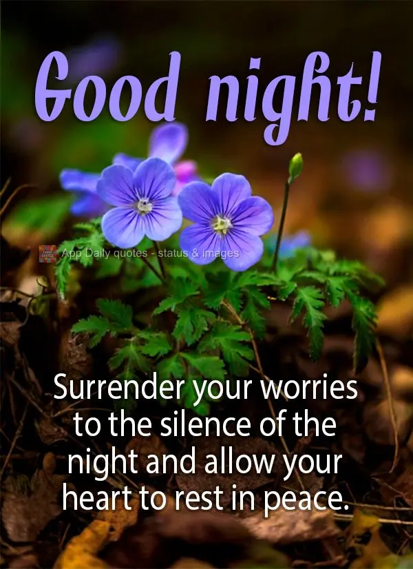Surrender your worries to the silence of the night and allow your heart to rest in peace. Good night! 