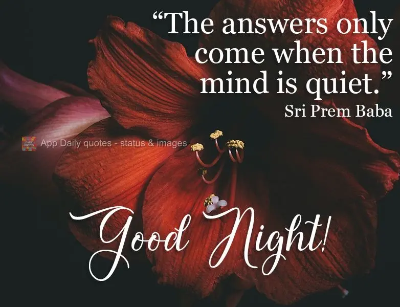 The answers only come when the mind is quiet. Good Night! Sri Prem Baba. 