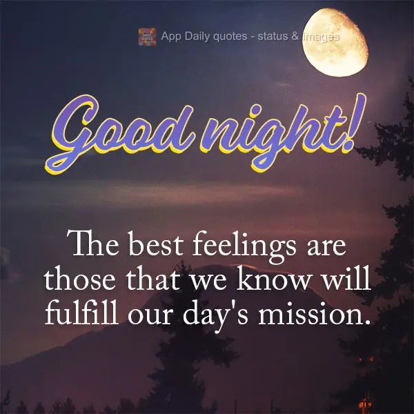 The best feelings are those that we know will fulfill our day's mission. Good night!