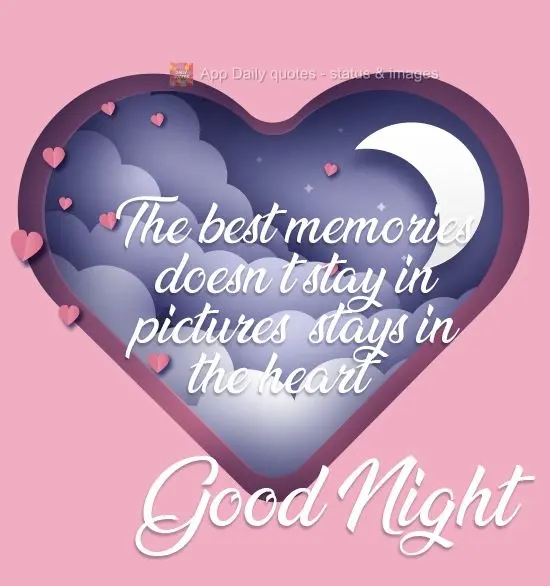 The best memories don't remain in pictures, they remain in the heart... Good Night!