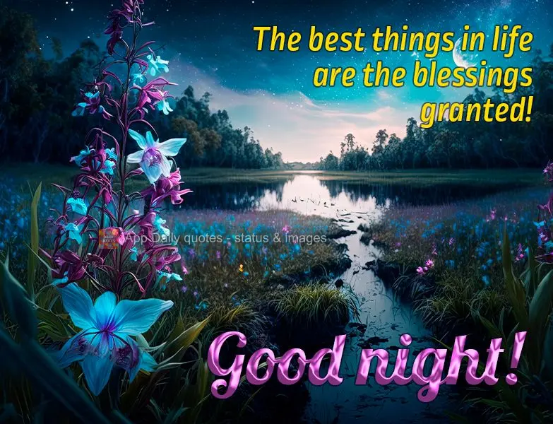 The best things in life are the blessings granted! Good night!