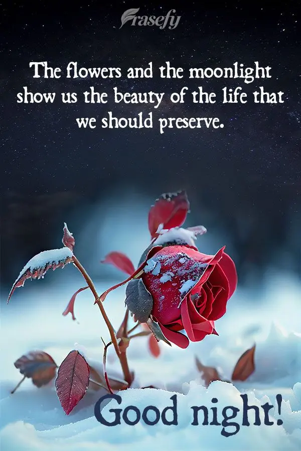 The flowers and moonlight show us the beauty of the life that we should preserve. Good night!