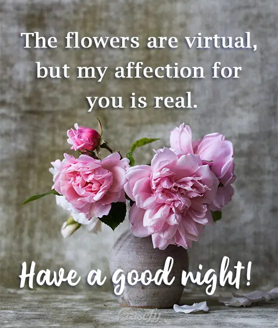 The flowers are virtual, but my affection for you is real. Have a good night!