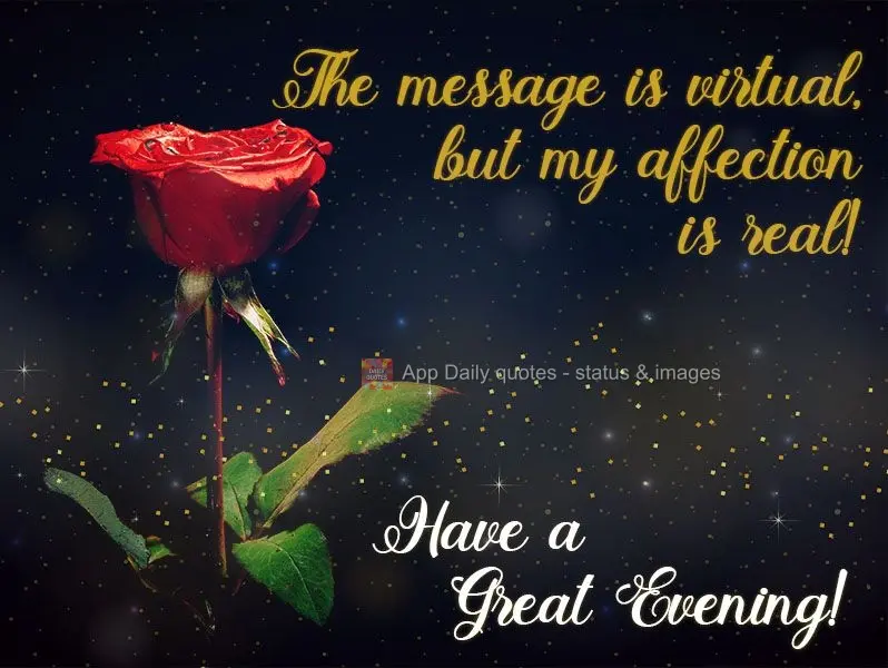 The message is virtual, but my affection is real! Have a Great Evening!
