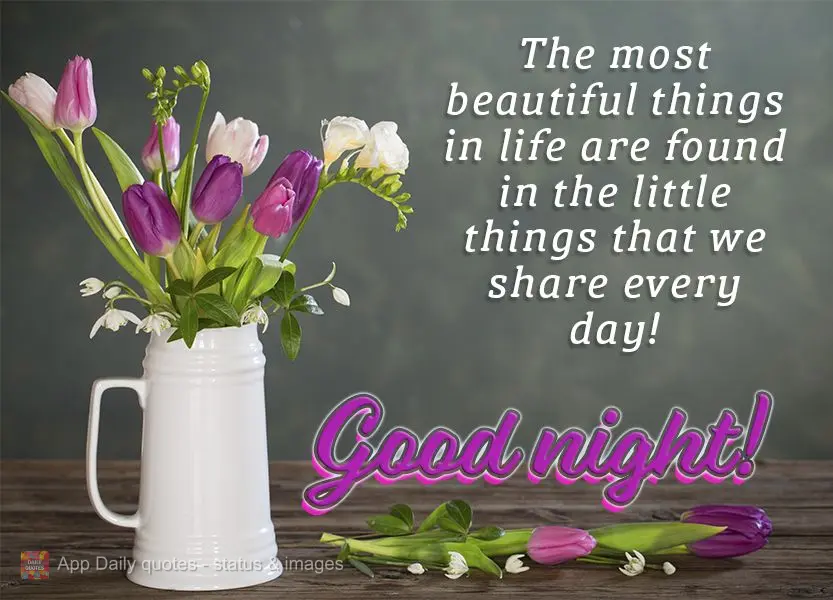 The most beautiful things in life are found in the little things that we share every day! Good night!