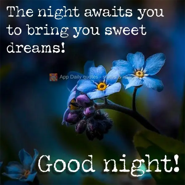 The night awaits you to bring you sweet dreams! Good night!