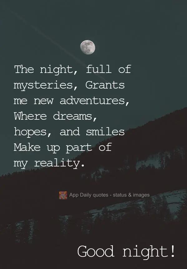 The night, full of mysteries, Grants me new adventures, Where dreams, hopes, and smiles Make up part of my reality. Good night!