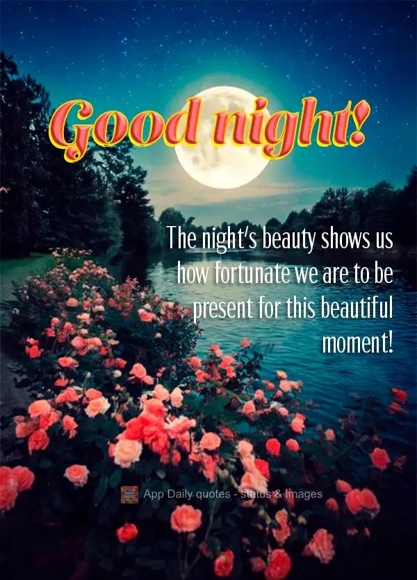 The night's beauty shows us how fortunate we are to be present for this beautiful moment! Good night!