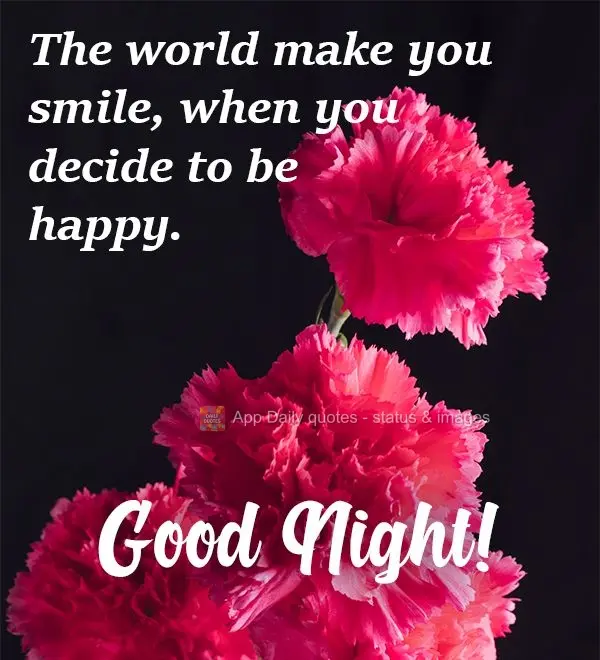 The world makes you smile when you decide to be happy. Good Night!