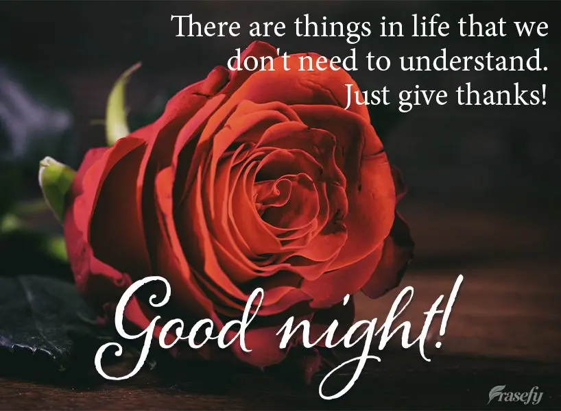 There are things in life that we don't need to understand, but just be grateful for! Good night!