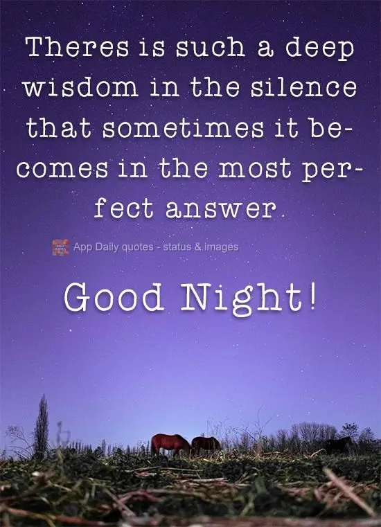 There is such deep wisdom in silence that sometimes it becomes the most perfect answer. Good Night!
