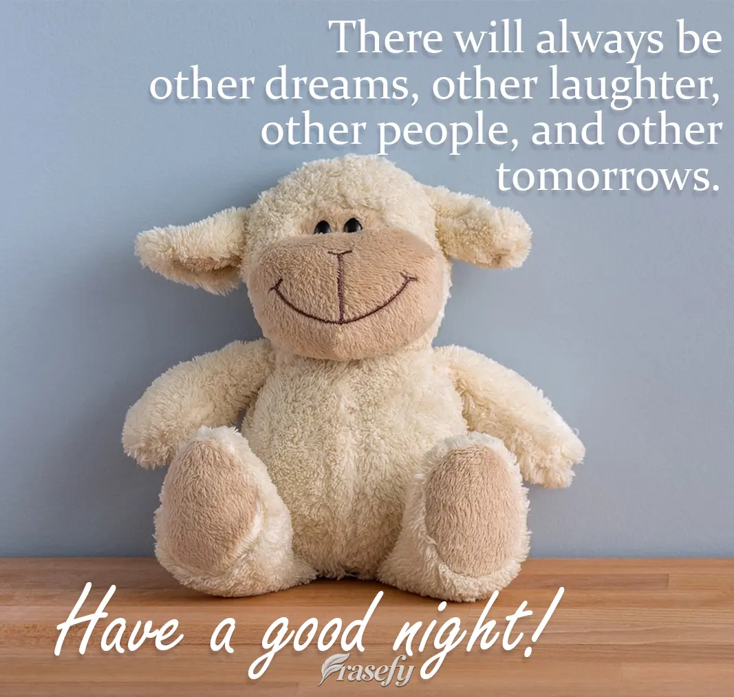 There will always be other dreams, other laughter, other people, and other tomorrows.
 Have a Good Night!