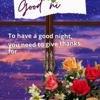 To have a good night, you need to give thanks for your day and for all the blessings you've been granted! Good night!